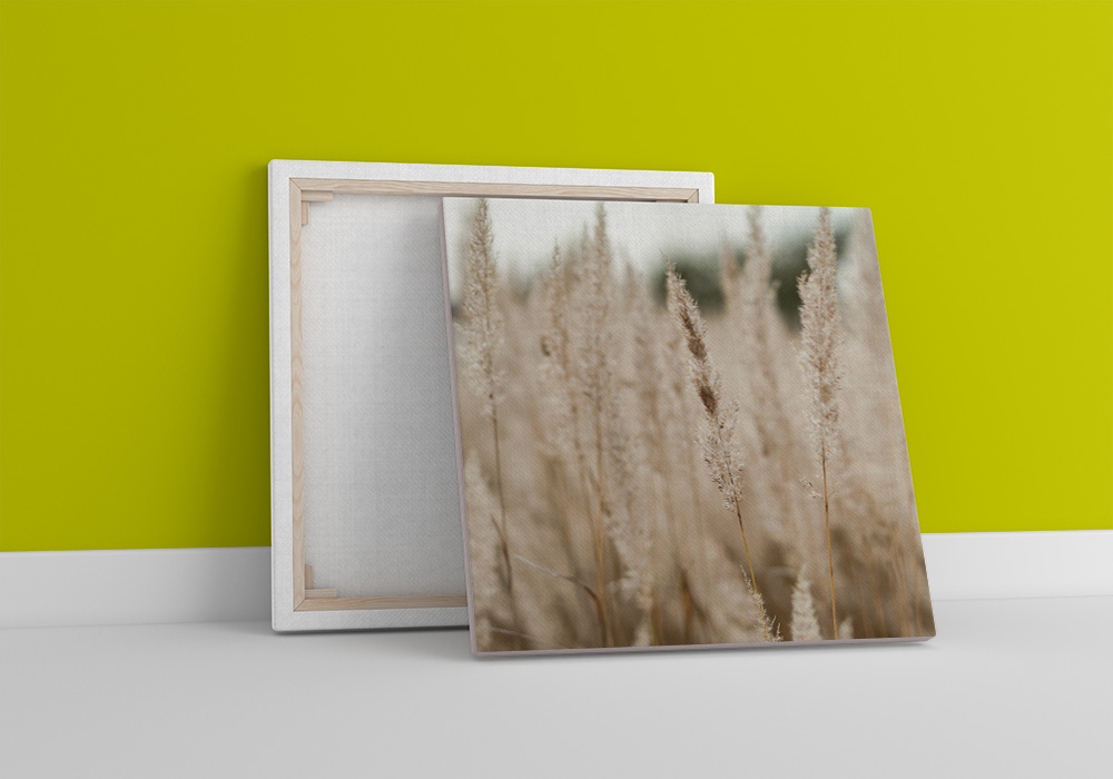 Square Canvas Prints | Amati Print Order Online!